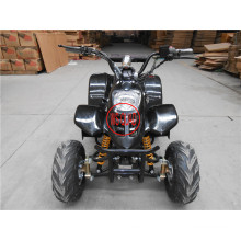 500W, 800W elektrischer ATV, elektrischer Viererkabel, elektrischer Mini ATV, elektrischer mini Viererkabel, elektrischer 4 Wheeler Et-Eatv003